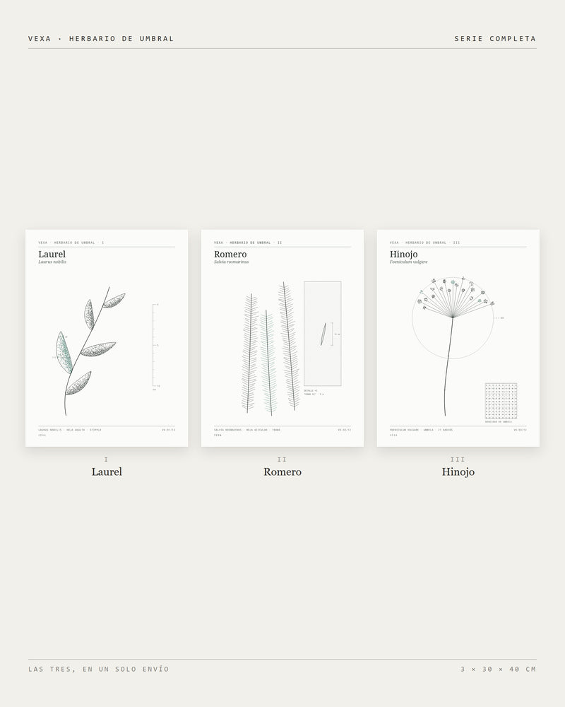 Set Galería — Herbario de Umbral