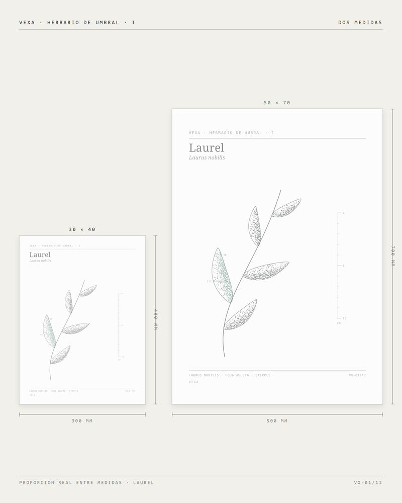 Laurel — las dos medidas comparadas
