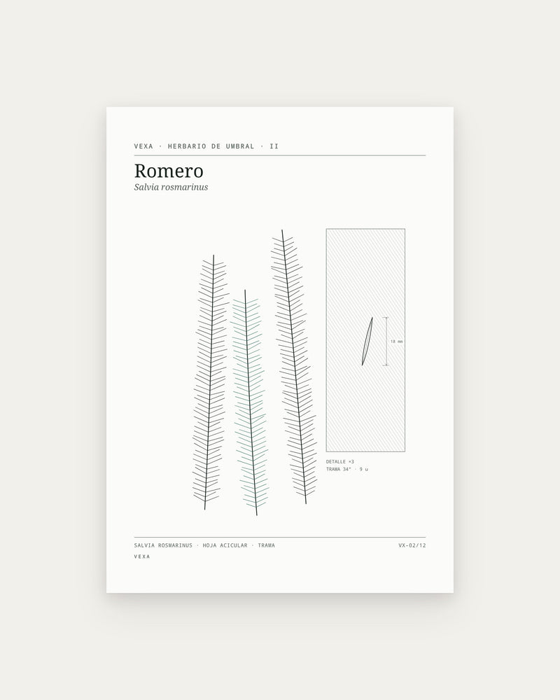 Romero — la lámina completa